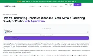 Preview of the VAI Consulting Case Study