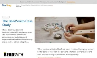 Preview of the The BeadSmith Case Study