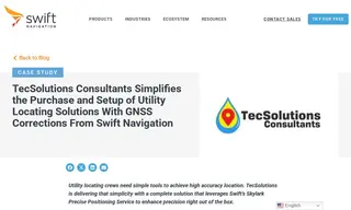 Preview of the TecSolutions Consultants Case Study