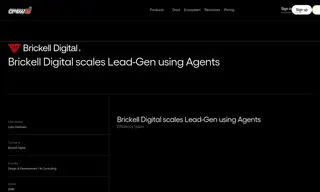 Preview of the Brickell Digital Case Study