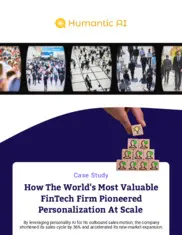 Preview of the Financial Technology Company Case Study