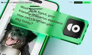 Preview of the Shelterluv Case Study