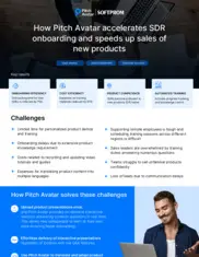 Preview of the Softprom Case Study