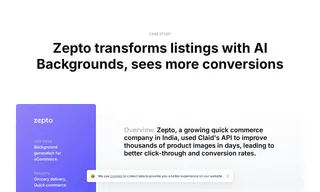 Preview of the Zepto Case Study