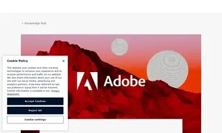 Preview of the Adobe Case Study