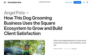 Preview of the Angel Pets Case Study