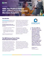 Preview of the Prime Point Payments Case Study