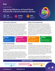 Preview of the Large Grocery Delivery Service Company Case Study