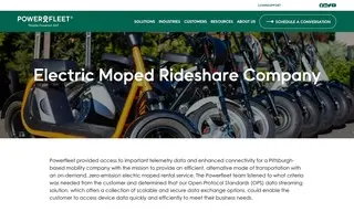 Preview of the Electric Moped Rideshare Company Case Study