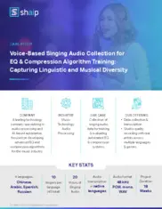 Preview of the Leading Technology Company Case Study