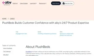 Preview of the PlushBeds Case Study