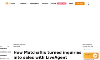 Preview of the Matchaflix Case Study