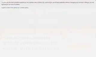Preview of the Africam Case Study
