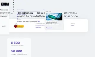 Preview of the Biedronka Case Study