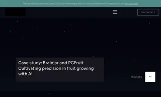 Preview of the Brainjar AI Case Study