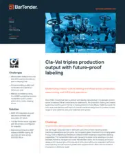 Preview of the Cla-Val Case Study