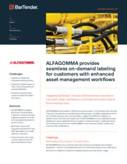 Preview of the ALFAGOMMA Case Study