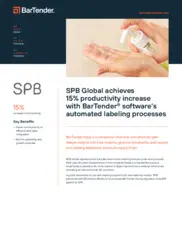 Preview of the SPB Global Corporation Case Study
