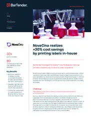 Preview of the NovaCina Case Study