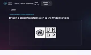 Preview of the UNDP Case Study