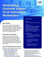 Preview of the Leading Digital Marketplace and Solutions Service Provider Case Study
