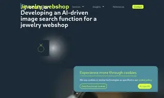 Preview of the Large Jewelry Webshop Case Study