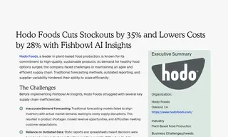 Preview of the Hodo Foods Case Study