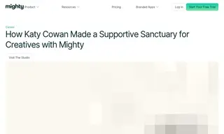Preview of the The Studio Case Study