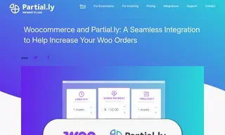 Preview of the WooCommerce Case Study
