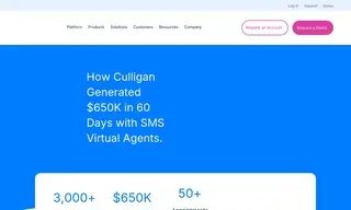 Preview of the Culligan Case Study