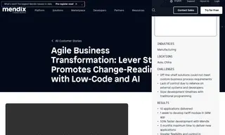 Preview of the Lever Style Case Study