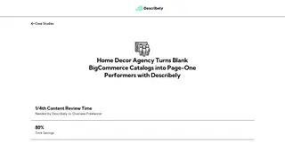 Preview of the Rave Decor Group Case Study