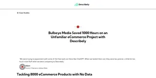 Preview of the Bullseye Media Case Study