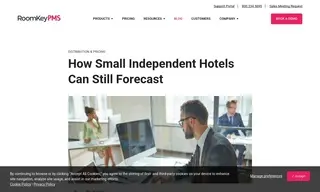 Preview of the Small Independent Hotel Case Study