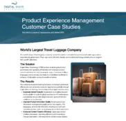 Preview of the Large Travel Luggage Company Case Study