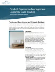 Preview of the Large Furniture and Decor Importer Company Case Study