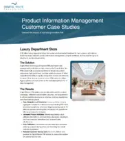Preview of the Luxury Department Store Case Study