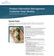 Preview of the US Retailer Company Case Study