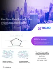 Preview of the Publicly Traded Banking and Financial Institution Case Study