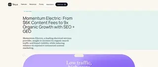 Preview of the Momentum Electric Case Study