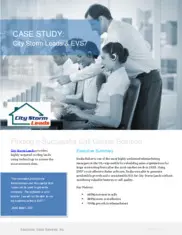 Preview of the City Storm Leads Case Study
