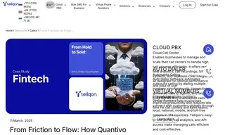 Preview of the Large Fintech Company Case Study