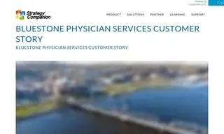 Preview of the Bluestone Physician Services Case Study