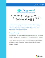 Preview of the Capgemini Case Study