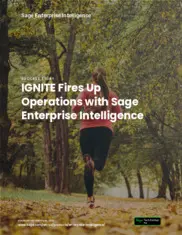Preview of the Ignite Case Study