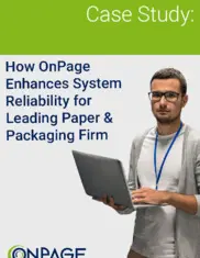 Preview of the America’s Largest Independent Paper and Packaging Firms Case Study