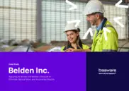 Preview of the Belden Inc. Case Study