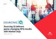 Preview of the Sourcing IQ Case Study