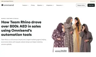 Preview of the Team Rhino Marketing Consultants agency Case Study