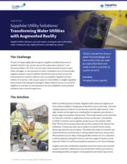 Preview of the Sapphire Utility Solutions Case Study